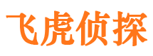 滨城市私家侦探